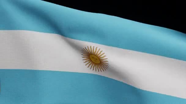 Alfakanal Argentinsk Flagga Viftar Vinden Argentinsk Fana Blåser Mjukt Och — Stockvideo