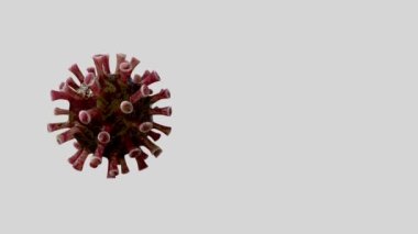 Üç boyutlu illüstrasyon. Coronavirus salgını solunum sistemini etkiliyor. Covid 19 tipi bir grip virüsü. Tehlikeli bir grip olarak görülüyor. Hastalık hücrelerinde salgın hastalık riski kavramı.