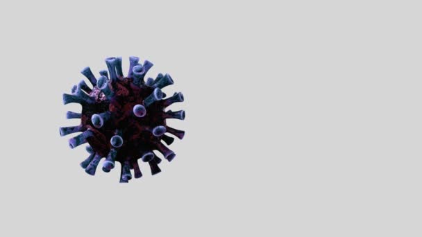 Ilustracja Wirus Grypy Unoszący Się Płyn Mikroskopowy Widok Patogen Który — Wideo stockowe