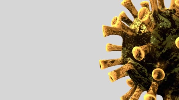 Ilustración Coronavirus Gripe Flotando Visión Microscópica Fluida Patógeno Que Ataca — Vídeos de Stock