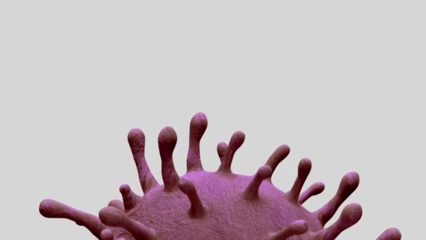 Sıvı Mikroskobik Görüşte Yüzen Boyutlu Grip Koronavirüsü Solunum Yoluna Saldıran — Stok video