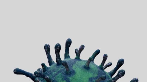 Иллюстрации Коронавирус Гриппа Плавающий Жидком Микроскопическом Обзоре Патоген Который Атакует — стоковое видео