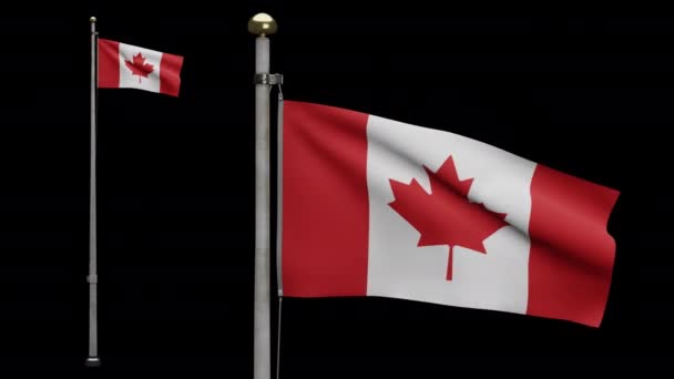 Ілюстрація Альфа Канал Канадського Прапора Розмахує Вітром Канада Стріляє Який — стокове відео