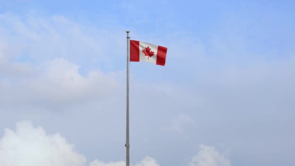 Εικονογράφηση Καναδική Σημαία Κυματίζει Στον Άνεμο Μπλε Ουρανό Σημαία Καναδά — Αρχείο Βίντεο