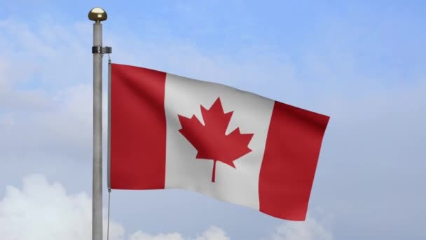 Illustration Kanadensisk Flagga Viftar Vinden Med Blå Himmel Kanadas Banderoll — Stockvideo
