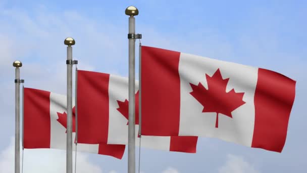 Ілюстрація Канадський Прапор Розмахує Вітром Блакитним Небом Канада Стріляє Який — стокове відео