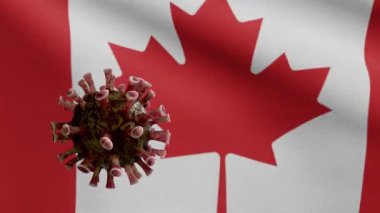 3D illüstrasyon Kanada bayrağı dalgalanması ve Coronavirus 2019 nCov konsepti. Kanada 'da Asya salgını, koronavirüs gribi salgını, salgın gibi grip salgını. Mikroskop virüsü Covid 19 - Dan