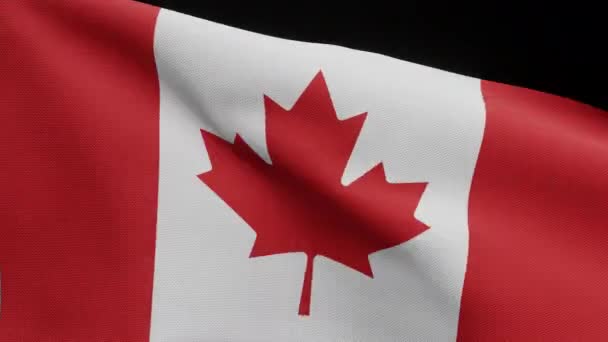 Illustrazione Canale Alfa Della Bandiera Canadese Sventola Nel Vento Bandiera — Video Stock