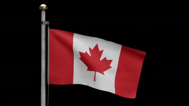 Illustratie Alpha Kanaal Zoom Naar Canadese Vlag Zwaaiend Wind Canada — Stockvideo