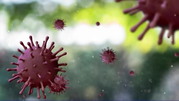 Απεικόνιση Ξέσπασμα Του Ιού Του Κερατοειδούς Μολύνει Αναπνευστικό Σύστημα Γρίπη — Αρχείο Βίντεο