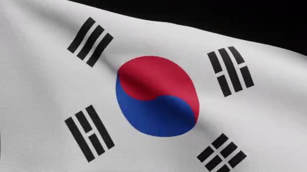 Illustration Alpha Channel Korean Flag Waving Wind South Korea Banner — Stock Video