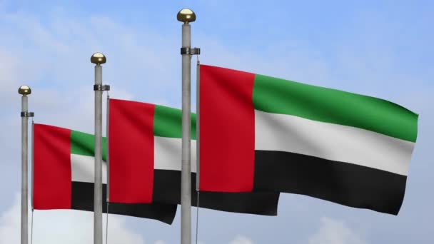 Boyutlu Birleşik Arap Emirlikleri Bayrağı Rüzgarda Dalgalanıyor Bae Afişi Yumuşak — Stok video