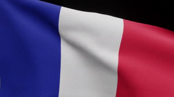 Ilustracja Kanał Alfa Francuskiej Flagi Falujący Wietrze Zbliżenie Francji Baner — Wideo stockowe