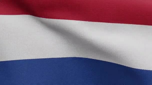 Иллюстрация Голландского Флага Размахивающего Ветром Закройте Нидерландский Баннер Мягкий Гладкий — стоковое видео
