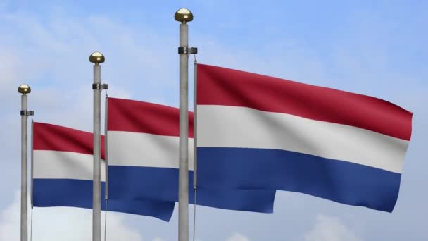 3Dイラスト風に揺れるオランダ国旗 オランダのバナーを吹いて 柔らかく滑らかなシルクを閉じます 布生地の質感が背景を刻印 国民の日や国の機会の概念のためにそれを使用してください — ストック動画