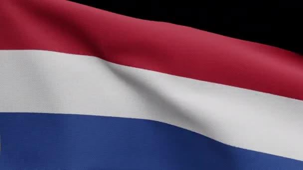Ilustración Canal Alfa Bandera Holandesa Ondeando Con Viento Bandera Holandesa — Vídeo de stock
