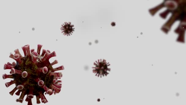 Ilustração Gripe Coronavírus Flutuando Visão Microscópica Fluido Patógeno Que Ataca — Vídeo de Stock