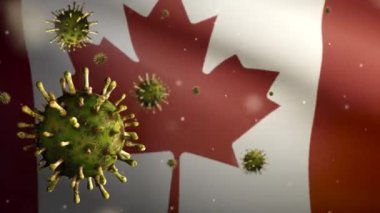 3 boyutlu Kanada bayrağı Coronavirüs salgını ile sallanıyor ve solunum sistemini tehlikeli grip olarak etkiliyor. Enfluenza Covid 19 virüsü ulusal Kanada pankartı arka planda uçuşuyor.