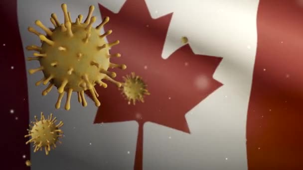Иллюстрация Коронавирус Гриппа Над Канадским Флагом Патоген Атакует Дыхательные Пути — стоковое видео