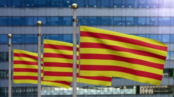카탈루냐 도시에서 흔들고 아름다운 카탈란 깃발이 퍼지고 배경에 새겨졌다 — 비디오