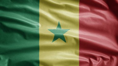 Senegal bayrağı rüzgarda dalgalanıyor. Senegal bayrağını yakın çekin, yumuşak ve pürüzsüz ipek. Kumaş kumaş dokusu, Asteğmen. Ulusal gün ve ülke etkinlikleri konsepti için kullan..