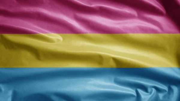 Pansexuality Flag Waving Wind Close Pansexual Banner Blowing Soft Smooth — Stock Photo, Image