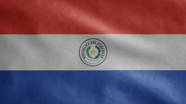 Paraguay bayrağı rüzgarda dalgalanıyor. Paraguay afişini kapat, yumuşak ve pürüzsüz ipek. Kumaş kumaş dokusu, Asteğmen. Ulusal gün ve ülke etkinlikleri konsepti için kullan..