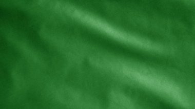 Rüzgâr arka planında dalgalanan yeşil bayrak. Güvenli olması için uluslararası denizcilik sinyalini kapatın. Kumaş dokusu Teğmen yumuşak ipek üflüyor. Yazın kumsalda yüzme denetiminde kullanırdım..