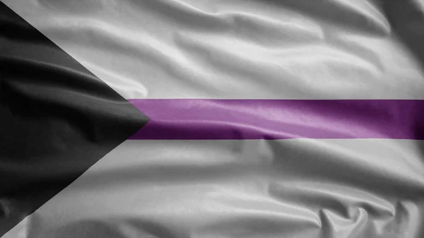 Demisexuality Flag Waving Wind Close Demisexual Banner Blowing Soft Smooth — Stock Photo, Image