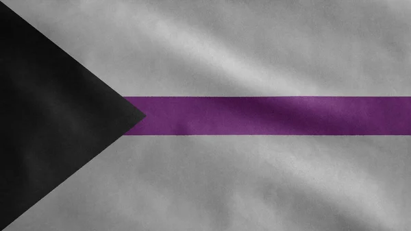 Demisexuality Flag Waving Wind Close Demisexual Banner Blowing Soft Smooth — Stock Photo, Image