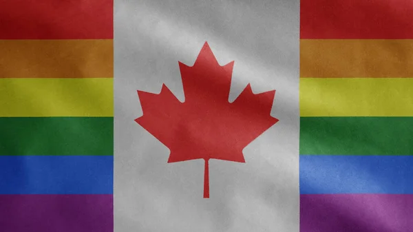 Bandera Orgullo Gay Canadiense Ondeando Viento Primer Plano Bandera Comunidad —  Fotos de Stock