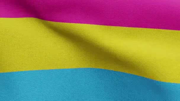 Pansexuality Flag Waving Wind Close Pansexual Banner Blowing Soft Smooth — Stock Video