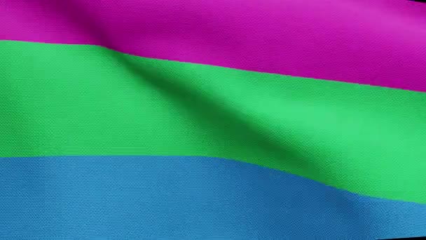 Полісексуальність Прапор Розмахує Вітром Покриття Полісексуального Прапора Дме Який Гладкий — стокове відео