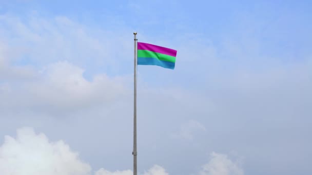 Polyseksualiteit Vlag Zwaaiend Wind Met Blauwe Lucht Wolken Polyseksuele Spandoek — Stockvideo