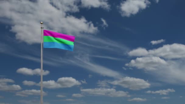 Polyseksualiteit Vlag Zwaaiend Wind Met Blauwe Lucht Wolken Polyseksuele Spandoek — Stockvideo