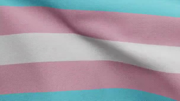 Bandeira Transexualidade Acenando Vento Close Bandeira Transexual Soprando Seda Macia — Vídeo de Stock