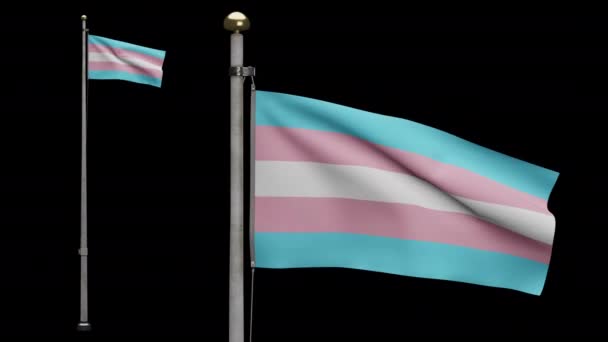 Alpha Kanaal Transseksualiteit Vlag Zwaaiend Wind Transseksuele Spandoek Blazen Zacht — Stockvideo