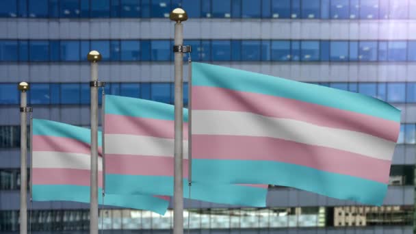 Transexualidad Bandera Ondeando Viento Ciudad Moderna Transexual Banner Soplado Suave — Vídeos de Stock