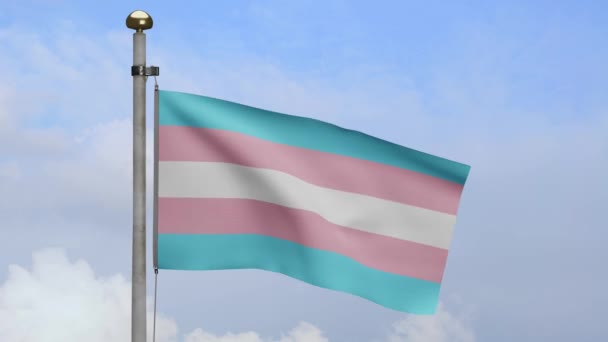 Флаг Транссексуальности Размахивающий Ветру Голубым Небом Транссексуальный Баннер Мягкий Гладкий — стоковое видео