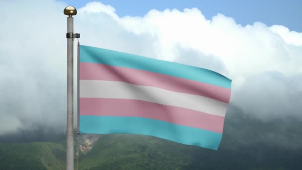 Transseksualiteit Vlag Zwaaiend Wind Berg Transseksuele Spandoek Blazen Zacht Glad — Stockvideo