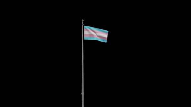 Alpha Canal Zoom Bandeira Transexualidade Acenando Vento Banner Transexual Soprando — Vídeo de Stock