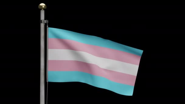 Alfa Canal Zoom Bandera Transexualidad Ondeando Viento Transexual Banner Soplado — Vídeos de Stock