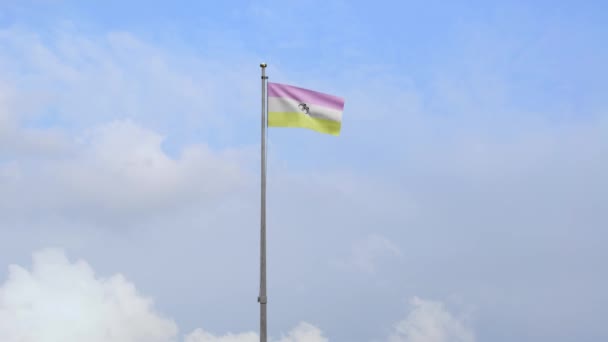 Bandeira Twinkie Acenando Vento Com Céu Azul Close Twink Banner — Vídeo de Stock