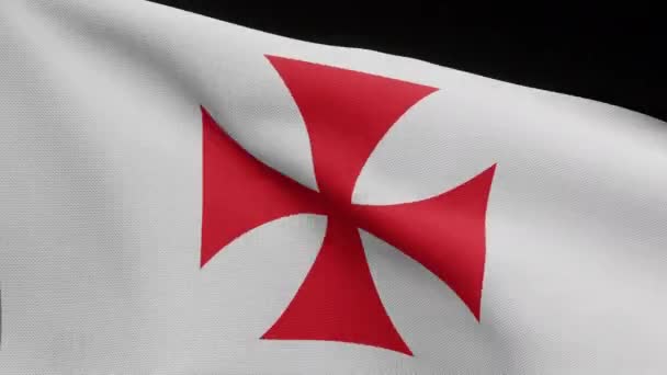 Alfa Canal Los Caballeros Templarios Bandera Ondeando Viento Pobres Compañeros — Vídeo de stock