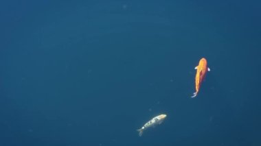 Enerji santrali sanayi bölgesinin sanayi manzarası. İnsanlığın ve kirliliğin ekolojik sorunu.