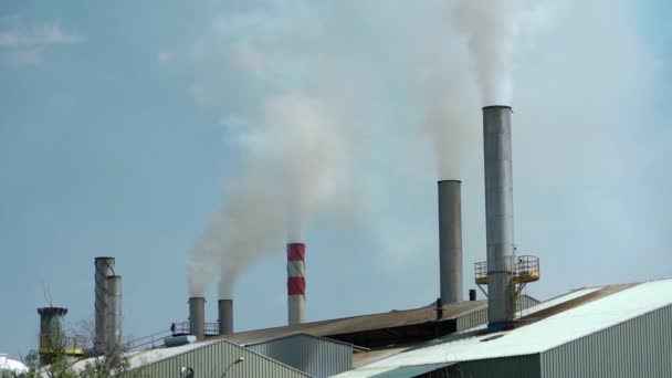 Промышленный Ландшафт Электростанции Формирует Индустриальную Зону Экологическая Проблема Человечества Концепции — стоковое видео