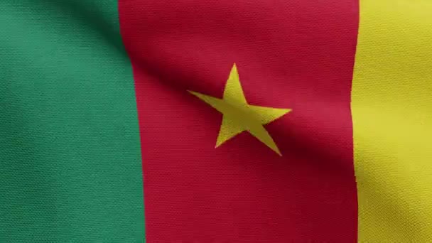 Камерунский Флаг Размахивающий Ветру Закрыть Камерунским Баннером Мягким Гладким Шелком — стоковое видео