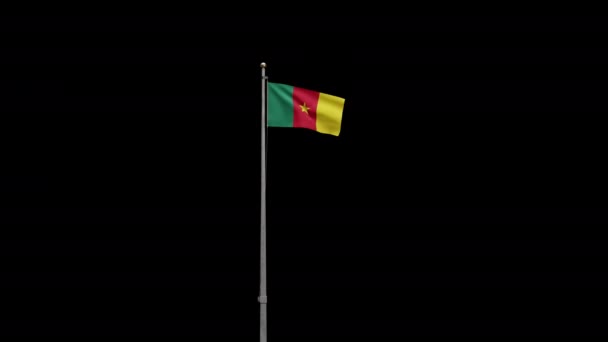 Illustration Kameruns Flagga Viftar Vinden Närbild Kamerun Banner Blåser Mjuk — Stockvideo