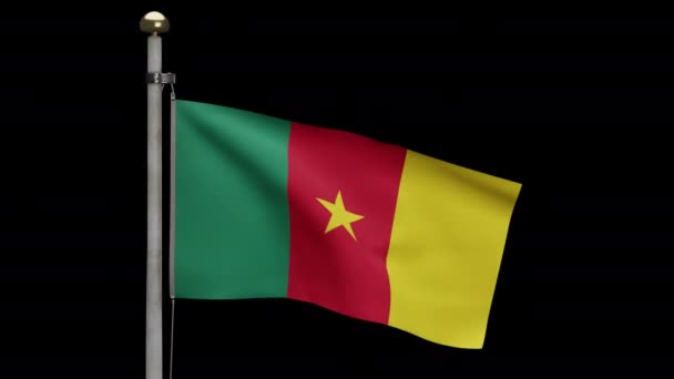 Ilustración Canal Alfa Bandera Camerunesa Ondeando Viento Bandera Camerún Soplando — Vídeo de stock