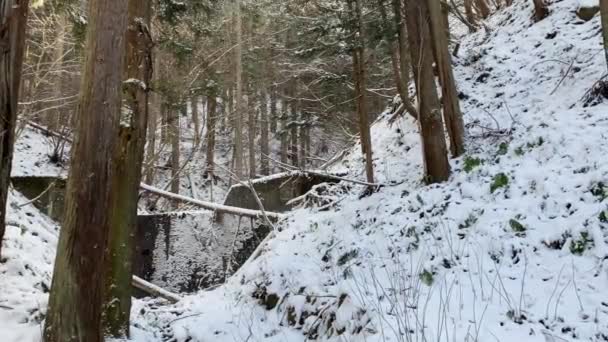 雪に覆われた山の家のパノラマビュー 魔法の冬の森 長野県地獄谷の美しい自然景観 Japan Dan — ストック動画